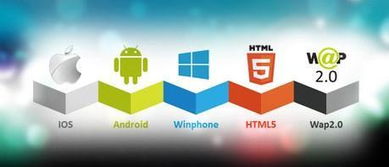 運(yùn)營軟件 app定制開發(fā)